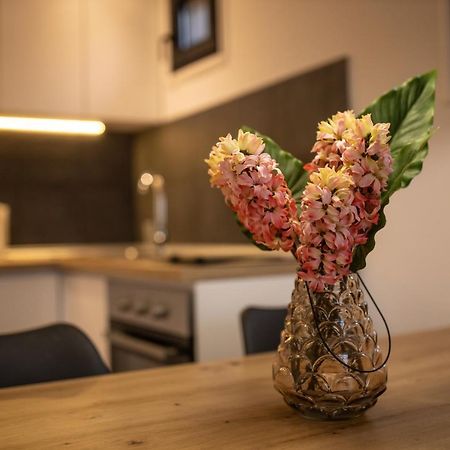 Vista Durmitor - Luxury Cabin جابلياك المظهر الخارجي الصورة
